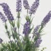 Artificial Flower 21*21*39cm Lavender in cement pot GS-03323071 Potted Flowers&Plants YeahFlower is one of Chinese leading OEM manufacturers and exporters , supplying the silk flowers, wholesale artificial trees
