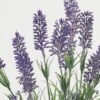 Artificial Flower 22*22*35cm Lavender in cement pot GS-03323072 Potted Flowers&Plants YeahFlower is one of Chinese leading OEM manufacturers and exporters , supplying the silk flowers, wholesale artificial trees