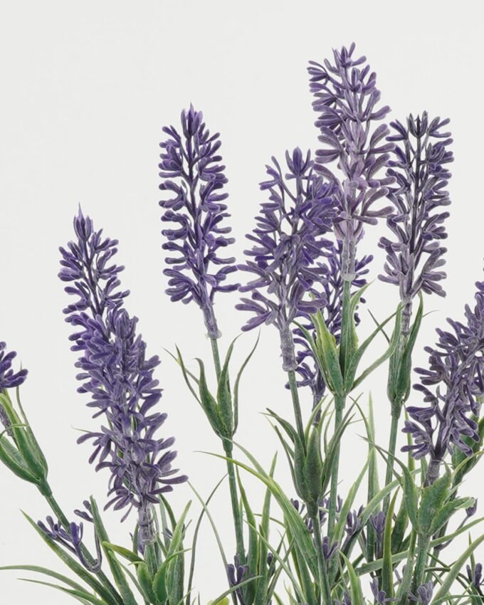 Artificial Flower 22*22*35cm Lavender in cement pot GS-03323072 Potted Flowers&Plants YeahFlower is one of Chinese leading OEM manufacturers and exporters , supplying the silk flowers, wholesale artificial trees