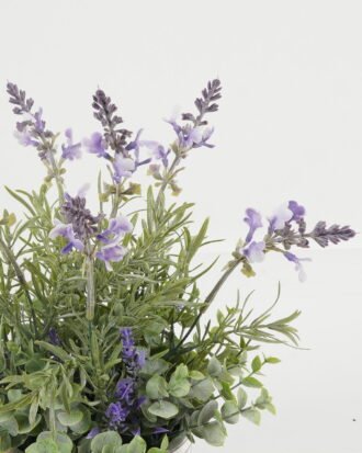 Artificial Flower 25*25*33cm Lavender in cement pot GS-03323079 Potted Flowers&Plants YeahFlower is one of Chinese leading OEM manufacturers and exporters , supplying the silk flowers, wholesale artificial trees Artificial Flower 25*25*33cm Lavender in cement pot GS-03323079 Potted Flowers&Plants YeahFlower is one of Chinese leading OEM manufacturers and exporters , supplying the silk flowers, wholesale artificial trees