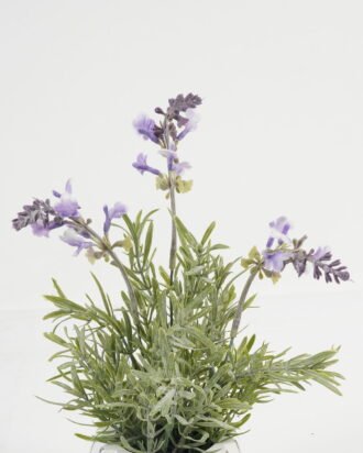 Artificial Flower 18*18*30cm Lavender in cement pot GS-03323081 Potted Flowers&Plants YeahFlower is one of Chinese leading OEM manufacturers and exporters , supplying the silk flowers, wholesale artificial trees Artificial Flower 18*18*30cm Lavender in cement pot GS-03323081 Potted Flowers&Plants YeahFlower is one of Chinese leading OEM manufacturers and exporters , supplying the silk flowers, wholesale artificial trees