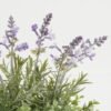 Artificial Flower Lavender in cement pot GS-03323082_6 Artificial Flower 25*19*25cm Lavender in cement pot GS-03323082 Potted Flowers&Plants YeahFlower is one of Chinese leading OEM manufacturers and exporters , supplying the silk flowers, wholesale artificial trees