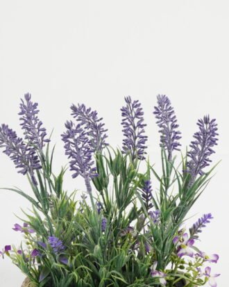 Artificial Flower 21*19*23cm Lavender in cement pot GS-03323083 Potted Flowers&Plants YeahFlower is one of Chinese leading OEM manufacturers and exporters , supplying the silk flowers, wholesale artificial trees Artificial Flower 21*19*23cm Lavender in cement pot GS-03323083 Potted Flowers&Plants YeahFlower is one of Chinese leading OEM manufacturers and exporters , supplying the silk flowers, wholesale artificial trees
