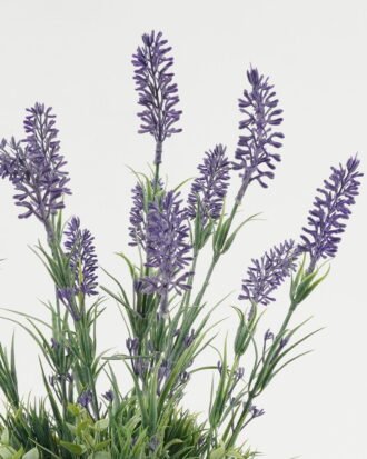 Artificial Flower 25*25*41cm Lavender in ceramic pot GS-03323060 Potted Flowers&Plants YeahFlower is one of Chinese leading OEM manufacturers and exporters , supplying the silk flowers, wholesale artificial trees