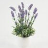 Artificial-Flower-Lavender-in-ceramic-pot-GS-03323061_4-1.jpg Artificial Flower 23*23*42cm Lavender in ceramic pot GS-03323061 Potted Flowers&Plants YeahFlower is one of Chinese leading OEM manufacturers and exporters , supplying the silk flowers, wholesale artificial trees