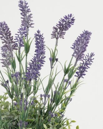 Artificial Flower 23*23*42cm Lavender in ceramic pot GS-03323061 Potted Flowers&Plants YeahFlower is one of Chinese leading OEM manufacturers and exporters , supplying the silk flowers, wholesale artificial trees