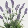 Artificial Flower 25*25*43cm Lavender in ceramic pot GS-03323063 Potted Flowers&Plants YeahFlower is one of Chinese leading OEM manufacturers and exporters , supplying the silk flowers, wholesale artificial trees
