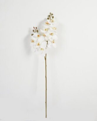 Artificial Flower 16*74cm Phalaenopsis *12 single stem GS-64923009CONTI-W1 Single Flowers YeahFlower is one of Chinese leading OEM manufacturers and exporters , supplying the silk flowers, wholesale artificial trees