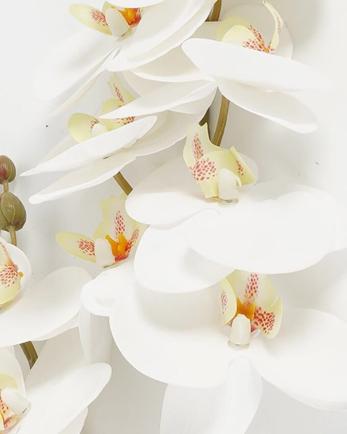 Artificial Flower 16*74cm Phalaenopsis *12 single stem GS-64923009CONTI-W1 Single Flowers YeahFlower is one of Chinese leading OEM manufacturers and exporters , supplying the silk flowers, wholesale artificial trees