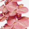 Artificial Flower 20*93cm  Phalaenopsis *9 single stem GS-64923010CONTI-R2 Single Flowers YeahFlower is one of Chinese leading OEM manufacturers and exporters , supplying the silk flowers, wholesale artificial trees