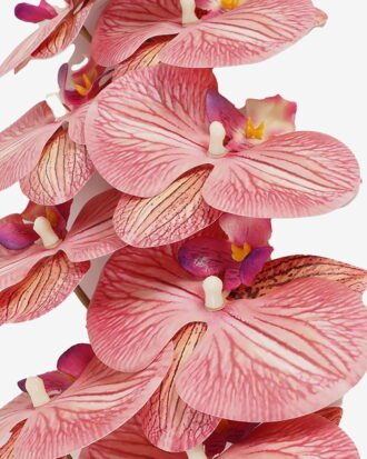 Artificial Flower 20*93cm  Phalaenopsis *9 single stem GS-64923010CONTI-R2 Single Flowers YeahFlower is one of Chinese leading OEM manufacturers and exporters , supplying the silk flowers, wholesale artificial trees