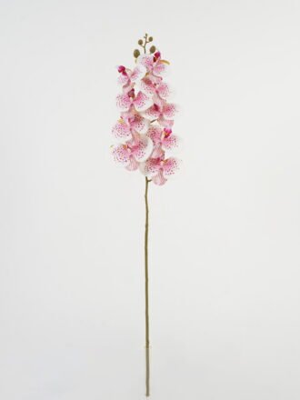 Artificial Flower 16*16*89cm Dancing Lady Orchid single stem GS-64923013CONTI Single Flowers 3,000+ sqm showroom with thousands of artificial flowers, plants & trees ready for global sourcing.