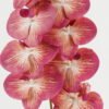 Artificial Flower 20*93cm  Phalaenopsis *9 single stem GS-64923010CONTI Single Flowers YeahFlower is one of Chinese leading OEM manufacturers and exporters , supplying the silk flowers, wholesale artificial trees