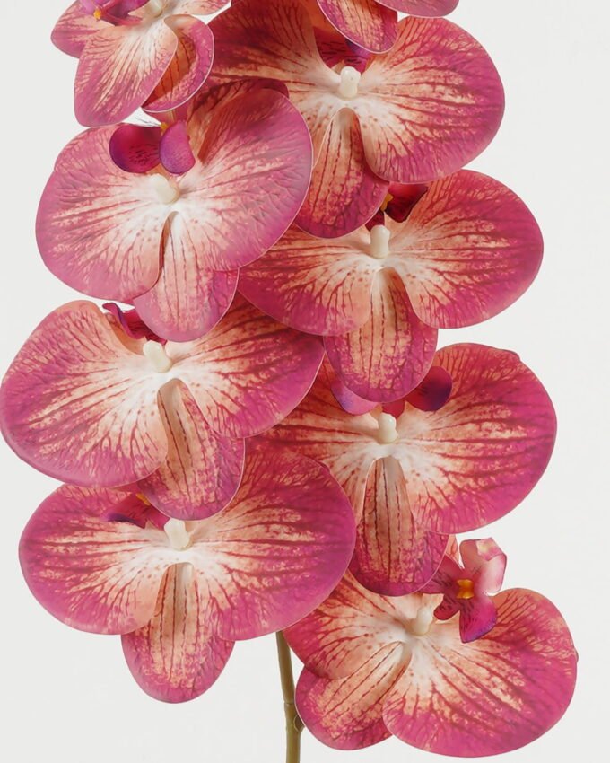 Artificial Flower 20*93cm  Phalaenopsis *9 single stem GS-64923010CONTI Single Flowers YeahFlower is one of Chinese leading OEM manufacturers and exporters , supplying the silk flowers, wholesale artificial trees
