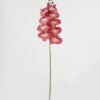 Artificial Flower 20*93cm  Phalaenopsis *9 single stem GS-64923010CONTI Single Flowers YeahFlower is one of Chinese leading OEM manufacturers and exporters , supplying the silk flowers, wholesale artificial trees