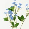 Artificial Flower Plumbago 3 single stem GVC-23-2984CONTI_2 Artificial Flower 15*10*73cm Plumbago *3 single stem GVC-23-2984CONTI Single Flowers YeahFlower is one of Chinese leading OEM manufacturers and exporters , supplying the silk flowers, wholesale artificial trees