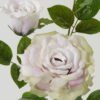 Artificial Flower 23*23*80cm Rose *2 single stem GS-39123015CONTI-G1 Single Flowers YeahFlower is one of Chinese leading OEM manufacturers and exporters , supplying the silk flowers, wholesale artificial trees