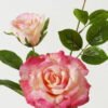Artificial Flower 23*23*80cm Rose *2 single stem GS-39123015CONTI-R2 Single Flowers YeahFlower is one of Chinese leading OEM manufacturers and exporters , supplying the silk flowers, wholesale artificial trees