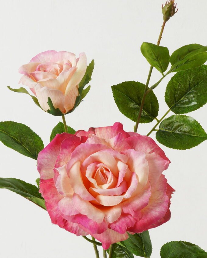 Artificial Flower 23*23*80cm Rose *2 single stem GS-39123015CONTI-R2 Single Flowers YeahFlower is one of Chinese leading OEM manufacturers and exporters , supplying the silk flowers, wholesale artificial trees