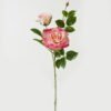 Artificial Flower 23*23*80cm Rose *2 single stem GS-39123015CONTI-R2 Single Flowers YeahFlower is one of Chinese leading OEM manufacturers and exporters , supplying the silk flowers, wholesale artificial trees
