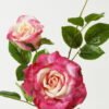 Artificial Flower 23*23*80cm Rose *2 single stem GS-39123015CONTI-R3 Single Flowers YeahFlower is one of Chinese leading OEM manufacturers and exporters , supplying the silk flowers, wholesale artificial trees