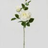 Artificial Flower Rose 2 single stem GS-39123015CONTI-W1 Artificial Flower 23*23*80cm Rose *2 single stem GS-39123015CONTI-W1 Single Flowers YeahFlower is one of Chinese leading OEM manufacturers and exporters , supplying the silk flowers, wholesale artificial trees