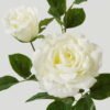Artificial Flower Rose 2 single stem GS-39123015CONTI-W1_1 Artificial Flower 23*23*80cm Rose *2 single stem GS-39123015CONTI-W1 Single Flowers YeahFlower is one of Chinese leading OEM manufacturers and exporters , supplying the silk flowers, wholesale artificial trees