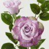 Artificial Flower Rose 2 single stem GS-39123015CONTI-Z2_1 Artificial Flower 23*23*80cm Rose *2 single stem GS-39123015CONTI-Z2 Single Flowers YeahFlower is one of Chinese leading OEM manufacturers and exporters , supplying the silk flowers, wholesale artificial trees