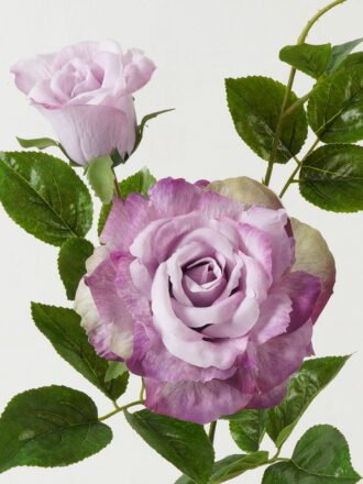 Artificial Flower 23*23*80cm Rose *2 single stem GS-39123016CONTI Single Flowers 3,000+ sqm showroom with thousands of artificial flowers, plants & trees ready for global sourcing.