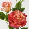 Artificial Flower 23*23*80cm Rose *2 single stem GS-39123015CONTI Single Flowers YeahFlower is one of Chinese leading OEM manufacturers and exporters , supplying the silk flowers, wholesale artificial trees