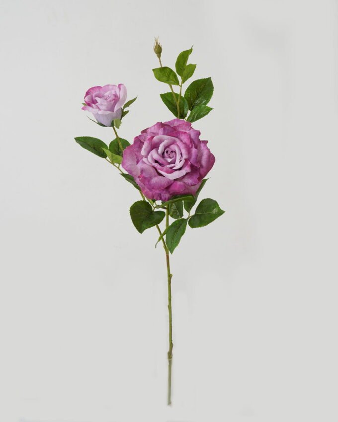 Artificial Flower 23*23*80cm Rose *2 single stem GS-39123015CONTI Single Flowers YeahFlower is one of Chinese leading OEM manufacturers and exporters , supplying the silk flowers, wholesale artificial trees