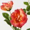 Artificial Flower 23*23*80cm Rose *2 single stem GS-39123016CONTI-R1 Single Flowers YeahFlower is one of Chinese leading OEM manufacturers and exporters , supplying the silk flowers, wholesale artificial trees
