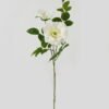 Artificial Flower Rose 2 single stem GS-39123016CONTI-W1 Artificial Flower 23*23*80cm Rose *2 single stem GS-39123016CONTI-W1 Single Flowers YeahFlower is one of Chinese leading OEM manufacturers and exporters , supplying the silk flowers, wholesale artificial trees