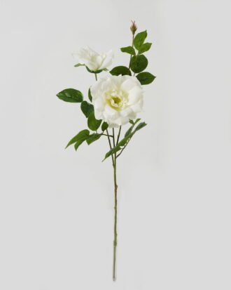 Artificial Flower 23*23*80cm Rose *2 single stem GS-39123016CONTI-W1 Single Flowers YeahFlower is one of Chinese leading OEM manufacturers and exporters , supplying the silk flowers, wholesale artificial trees