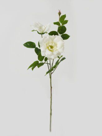 Artificial Flower 23*23*80cm Rose *2 single stem GS-39123016CONTI-R1 Single Flowers 3,000+ sqm showroom with thousands of artificial flowers, plants & trees ready for global sourcing.