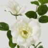 Artificial Flower Rose 2 single stem GS-39123016CONTI-W1_1 Artificial Flower 23*23*80cm Rose *2 single stem GS-39123016CONTI-W1 Single Flowers YeahFlower is one of Chinese leading OEM manufacturers and exporters , supplying the silk flowers, wholesale artificial trees