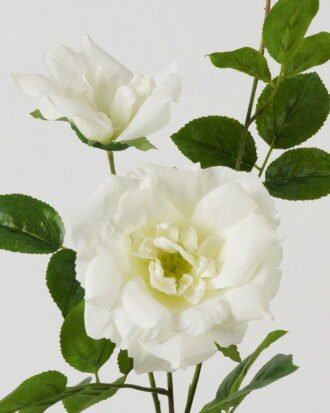 Artificial Flower 23*23*80cm Rose *2 single stem GS-39123016CONTI-W1 Single Flowers YeahFlower is one of Chinese leading OEM manufacturers and exporters , supplying the silk flowers, wholesale artificial trees