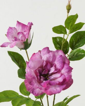 Artificial Flower 23*23*80cm Rose *2 single stem GS-39123016CONTI-Z1 Single Flowers YeahFlower is one of Chinese leading OEM manufacturers and exporters , supplying the silk flowers, wholesale artificial trees