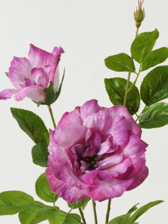 Artificial Flower 23*23*80cm Rose *2 single stem GS-39123016CONTI-W1 Single Flowers 3,000+ sqm showroom with thousands of artificial flowers, plants & trees ready for global sourcing.