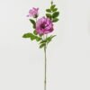 Artificial Flower Rose 2 single stem GS-39123016CONTI-Z1_4 Artificial Flower 23*23*80cm Rose *2 single stem GS-39123016CONTI-Z1 Single Flowers YeahFlower is one of Chinese leading OEM manufacturers and exporters , supplying the silk flowers, wholesale artificial trees