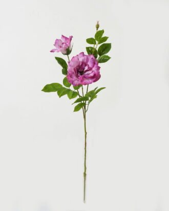 Artificial Flower 23*23*80cm Rose *2 single stem GS-39123016CONTI-Z1 Single Flowers YeahFlower is one of Chinese leading OEM manufacturers and exporters , supplying the silk flowers, wholesale artificial trees