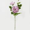 Artificial Flower Rose 2 single stem GS-39123016CONTI-Z2 Artificial Flower 23*23*80cm Rose *2 single stem GS-39123016CONTI-Z2 Single Flowers YeahFlower is one of Chinese leading OEM manufacturers and exporters , supplying the silk flowers, wholesale artificial trees