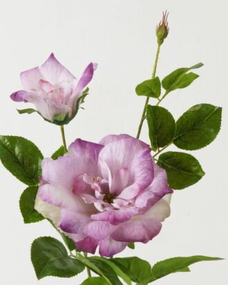 Artificial Flower 23*23*80cm Rose *2 single stem GS-39123016CONTI-Z2 Single Flowers YeahFlower is one of Chinese leading OEM manufacturers and exporters , supplying the silk flowers, wholesale artificial trees