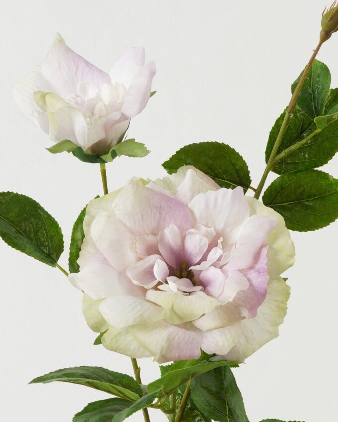 Artificial Flower Rose 2 single stem GS-39123016CONTI_3 Artificial Flower 23*23*80cm Rose *2 single stem GS-39123016CONTI Single Flowers YeahFlower is one of Chinese leading OEM manufacturers and exporters , supplying the silk flowers, wholesale artificial trees