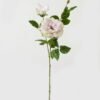 Artificial Flower Rose 2 single stem GS-39123016CONTI_4 Artificial Flower 23*23*80cm Rose *2 single stem GS-39123016CONTI Single Flowers YeahFlower is one of Chinese leading OEM manufacturers and exporters , supplying the silk flowers, wholesale artificial trees