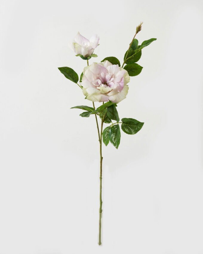 Artificial Flower Rose 2 single stem GS-39123016CONTI_4 Artificial Flower 23*23*80cm Rose *2 single stem GS-39123016CONTI Single Flowers YeahFlower is one of Chinese leading OEM manufacturers and exporters , supplying the silk flowers, wholesale artificial trees