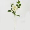 Artificial Flower Rose 2 single stem GS-39123016CONTI_5 Artificial Flower 23*23*80cm Rose *2 single stem GS-39123016CONTI Single Flowers YeahFlower is one of Chinese leading OEM manufacturers and exporters , supplying the silk flowers, wholesale artificial trees