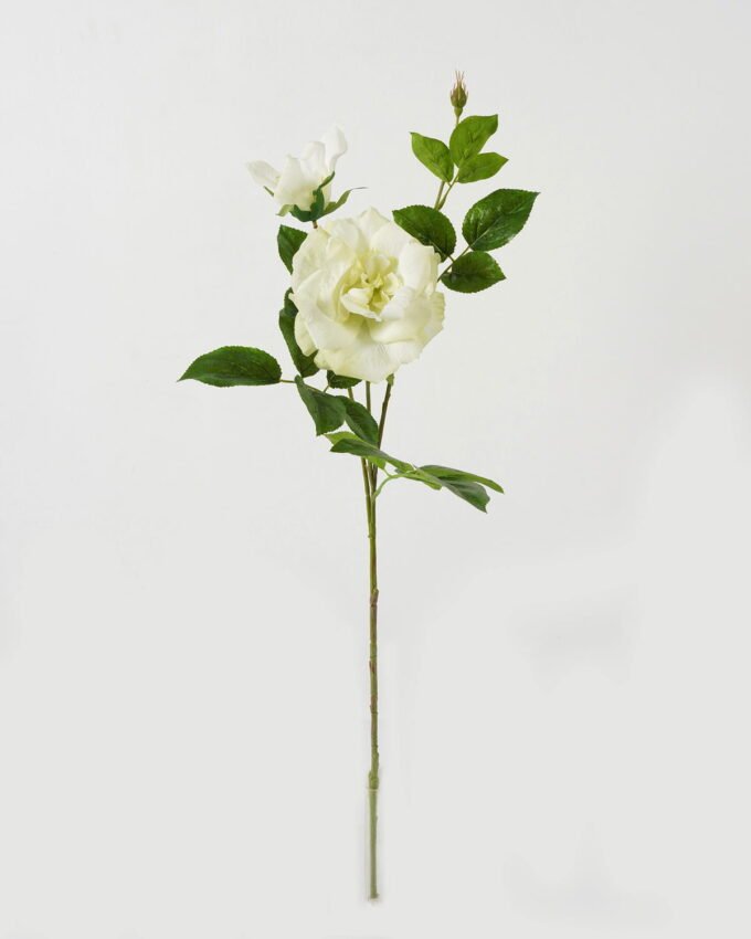 Artificial Flower Rose 2 single stem GS-39123016CONTI_5 Artificial Flower 23*23*80cm Rose *2 single stem GS-39123016CONTI Single Flowers YeahFlower is one of Chinese leading OEM manufacturers and exporters , supplying the silk flowers, wholesale artificial trees