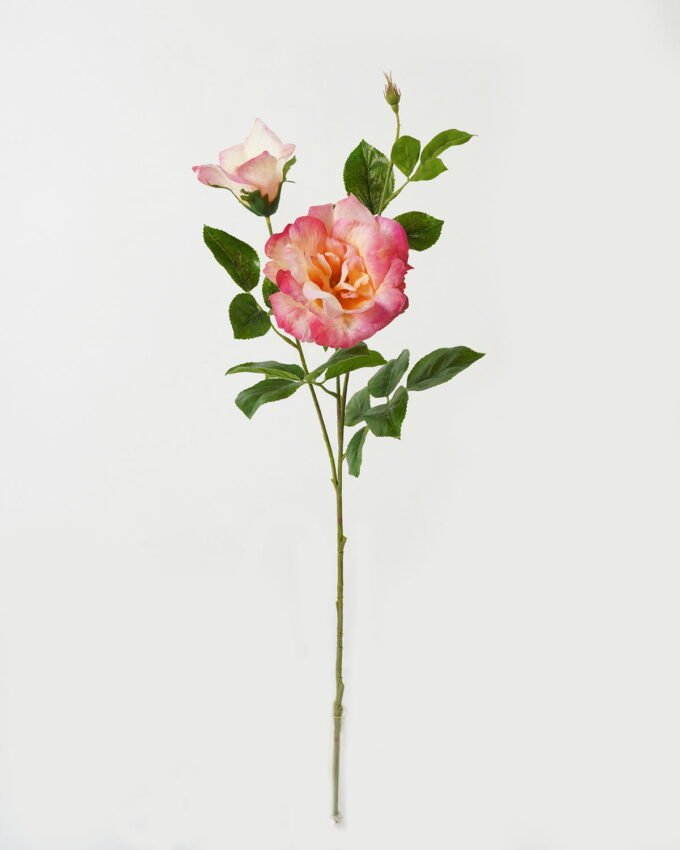 Artificial Flower Rose 2 single stem GS-39123016CONTI_6 Artificial Flower 23*23*80cm Rose *2 single stem GS-39123016CONTI Single Flowers YeahFlower is one of Chinese leading OEM manufacturers and exporters , supplying the silk flowers, wholesale artificial trees