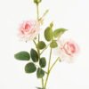 Artificial Flower 18*18*64cm Rose *3 single stem GS-64723005CONTI-P1 Single Flowers YeahFlower is one of Chinese leading OEM manufacturers and exporters , supplying the silk flowers, wholesale artificial trees